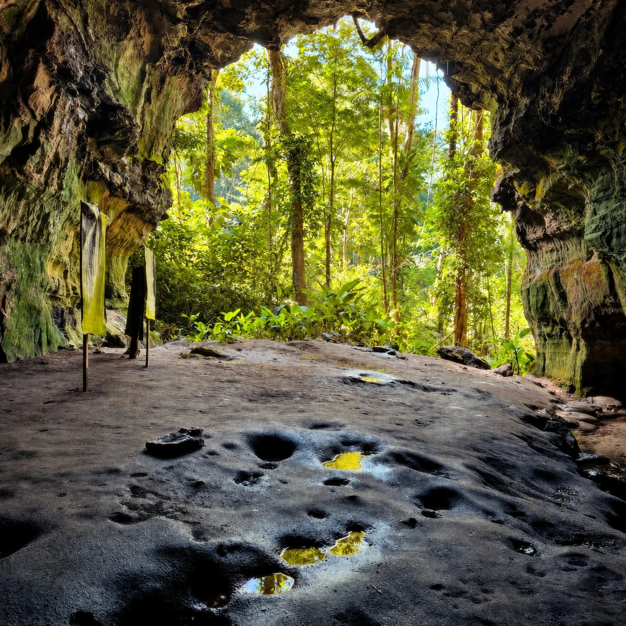Sítio Raízes do Xingu — Brasil Novo